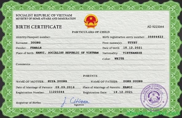 Vietnam birth certificate PSD template